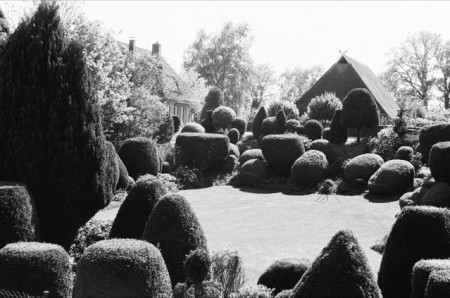 neuer Artikel lies alles über die Kunst